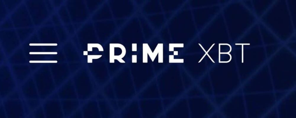 Primexbt vs Pocket Option Primexbt vs Pocket Option